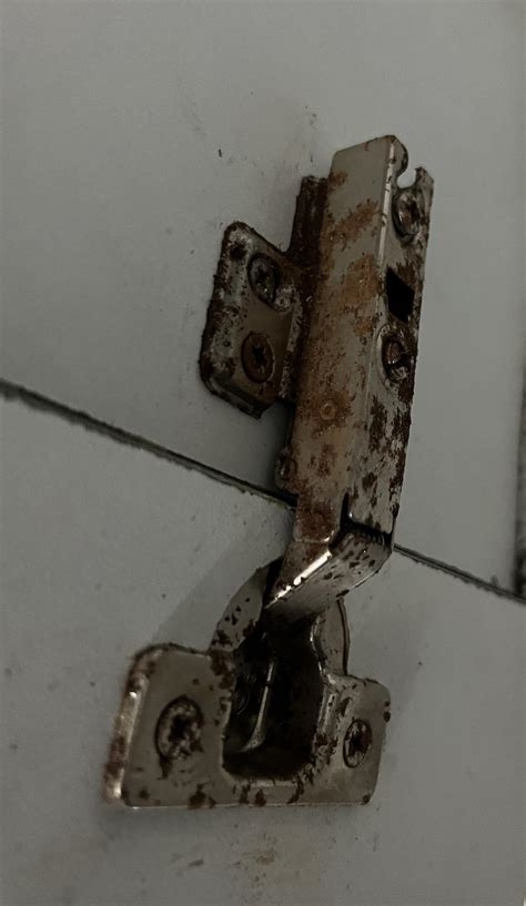 steel wool hinges cabinet|kitchen cabinet hinges rusting.